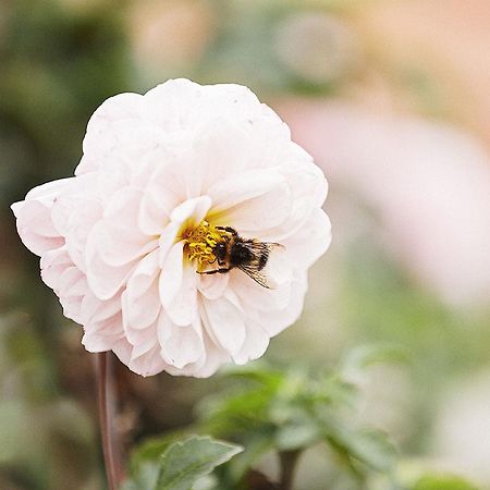 Gasthaus Hummel Duggendorf エクステリア 写真