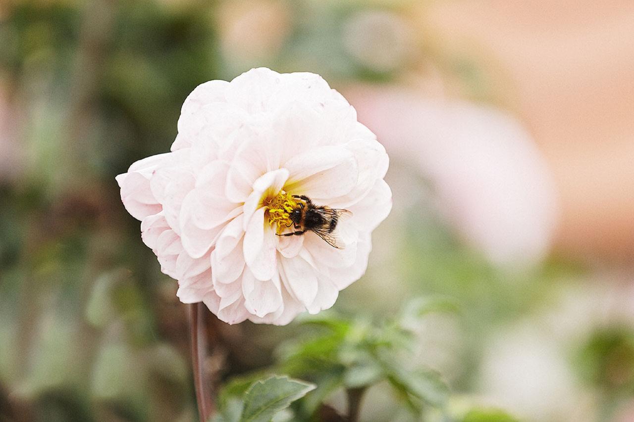 Gasthaus Hummel Duggendorf エクステリア 写真